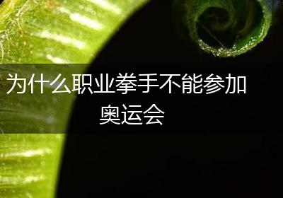 为什么职业拳手不能参加奥运会