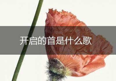 开启的首是什么歌