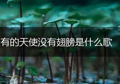 有的天使没有翅膀是什么歌