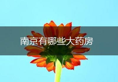南京有哪些大药房