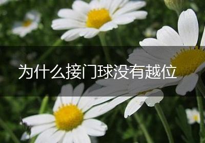 为什么接门球没有越位
