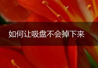 如何让吸盘不会掉下来