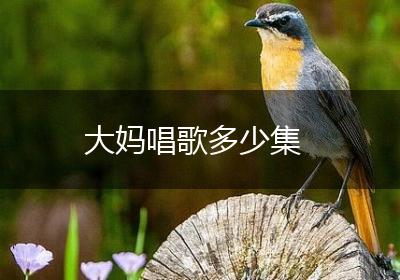 大妈唱歌多少集