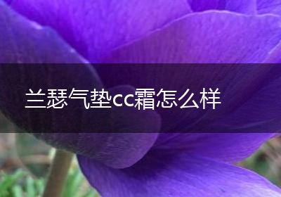 兰瑟气垫cc霜怎么样