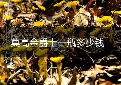 莫高金爵士一瓶多少钱