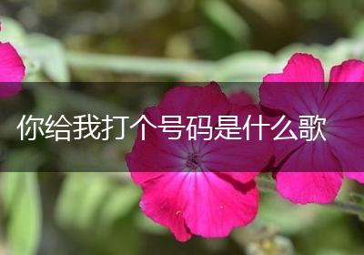 你给我打个号码是什么歌
