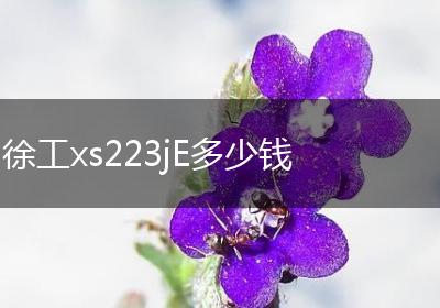 徐工xs223jE多少钱
