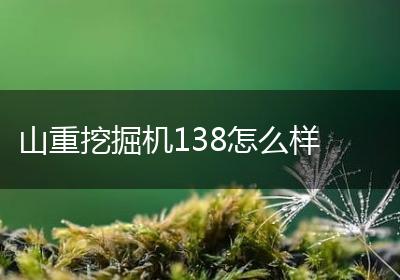 山重挖掘机138怎么样