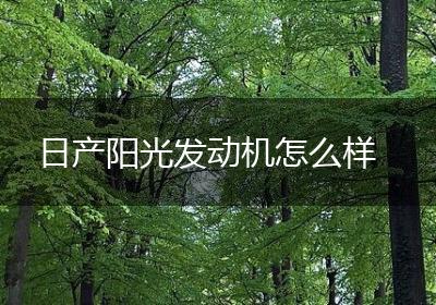 日产阳光发动机怎么样