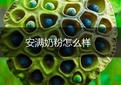 安满奶粉怎么样