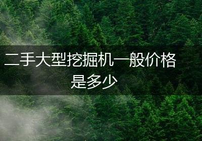 二手大型挖掘机一般价格是多少