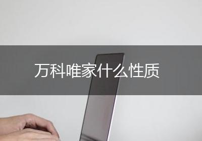 万科唯家什么性质