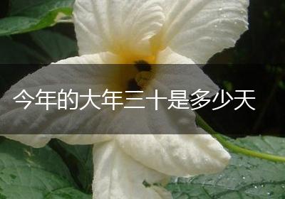 今年的大年三十是多少天