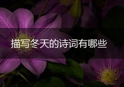 描写冬天的诗词有哪些