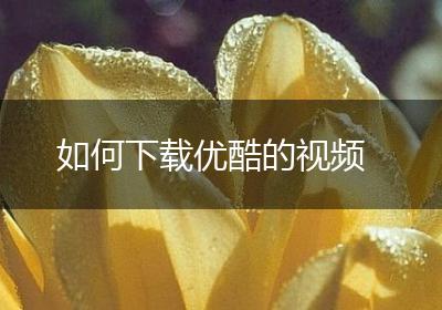 如何下载优酷的视频