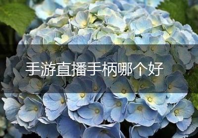 手游直播手柄哪个好