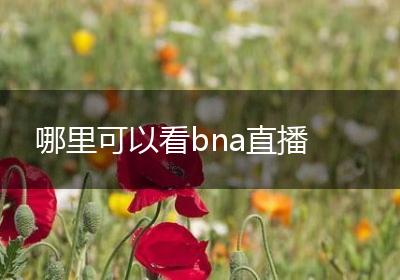 哪里可以看bna直播