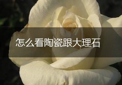 怎么看陶瓷跟大理石