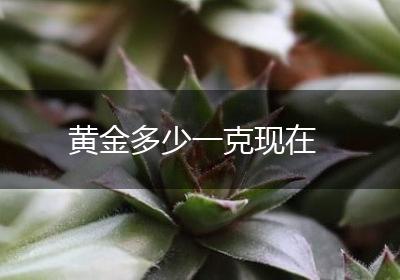 黄金多少一克现在