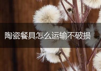 陶瓷餐具怎么运输不破损