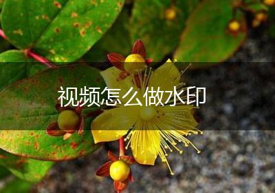 视频怎么做水印
