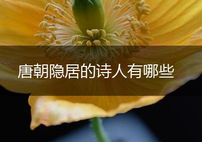 唐朝隐居的诗人有哪些