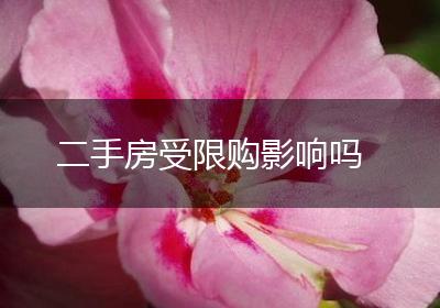 二手房受限购影响吗