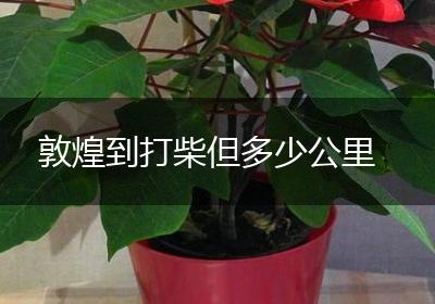 敦煌到打柴但多少公里