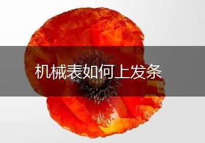 机械表如何上发条
