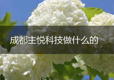 成都主悦科技做什么的