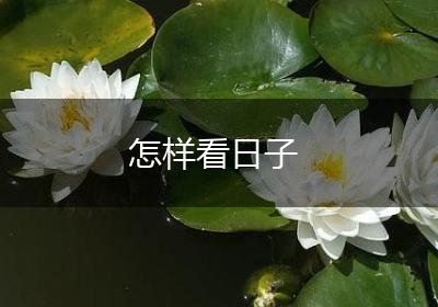 怎样看日子
