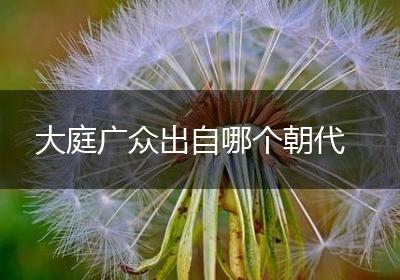 大庭广众出自哪个朝代