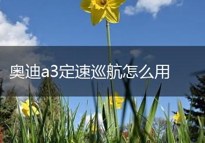奥迪a3定速巡航怎么用