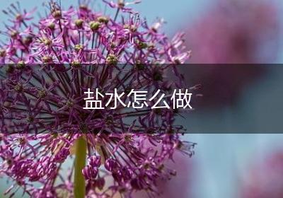 盐水怎么做