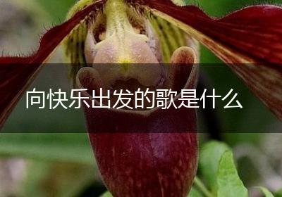 向快乐出发的歌是什么
