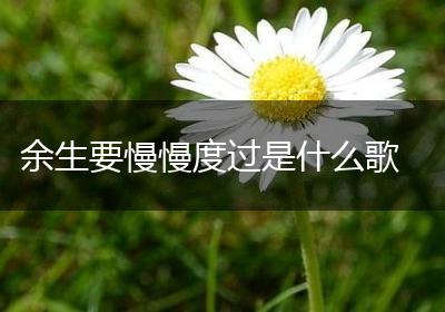 余生要慢慢度过是什么歌