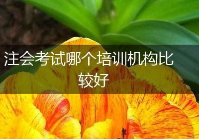 注会考试哪个培训机构比较好