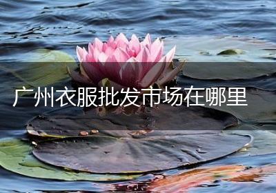 广州衣服批发市场在哪里