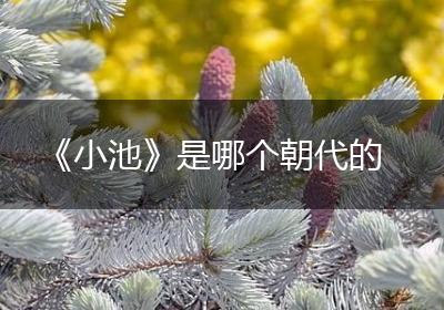 《小池》是哪个朝代的