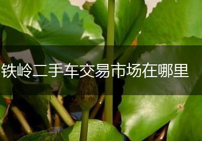 铁岭二手车交易市场在哪里