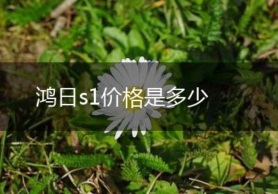 鸿日s1价格是多少
