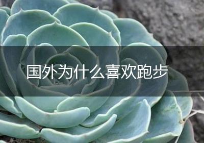 国外为什么喜欢跑步