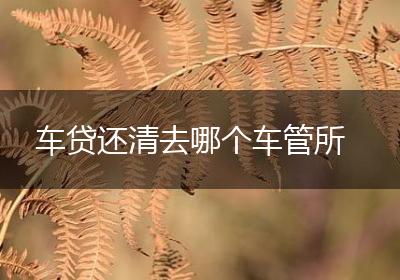 车贷还清去哪个车管所