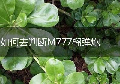 如何去判断M777榴弹炮