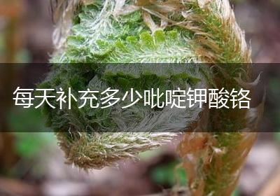 每天补充多少吡啶钾酸铬