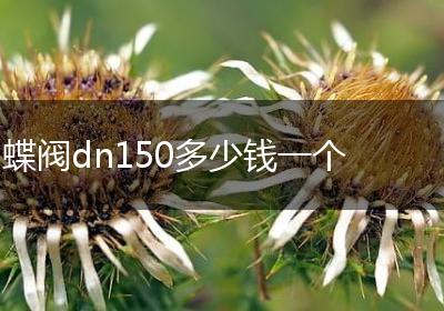 蝶阀dn150多少钱一个