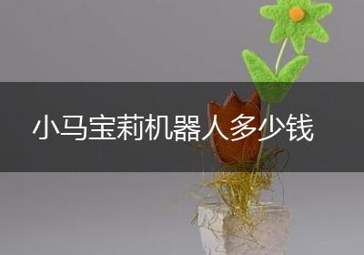 小马宝莉机器人多少钱