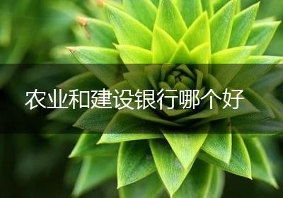 农业和建设银行哪个好