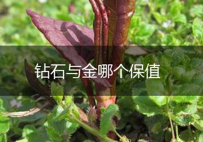 钻石与金哪个保值