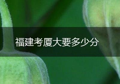 福建考厦大要多少分